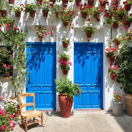 New! - Patios De La Ribera Cordoba