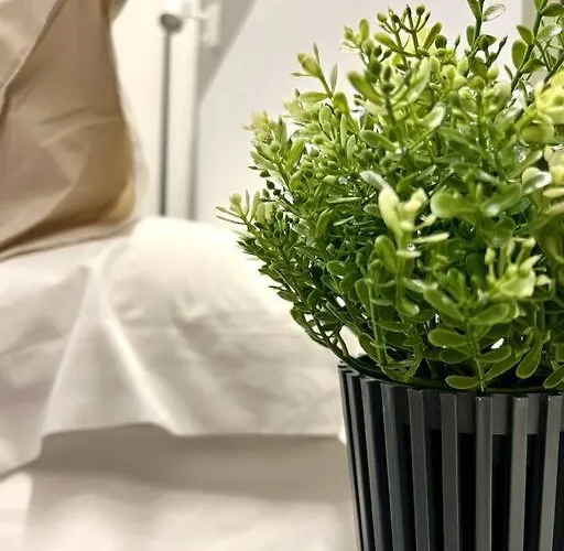 New! - Patios De La Ribera * Córdoba