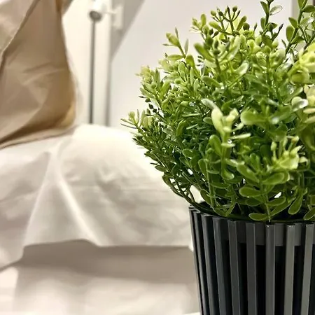 New! - Patios De La Ribera * Cordoba